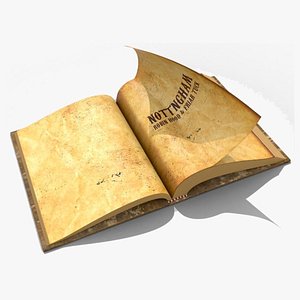 3D model Realistic Old Rigged Animated Book