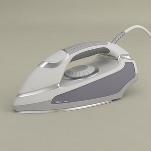 max steam iron