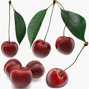 3D Cherry Fruits Collection
