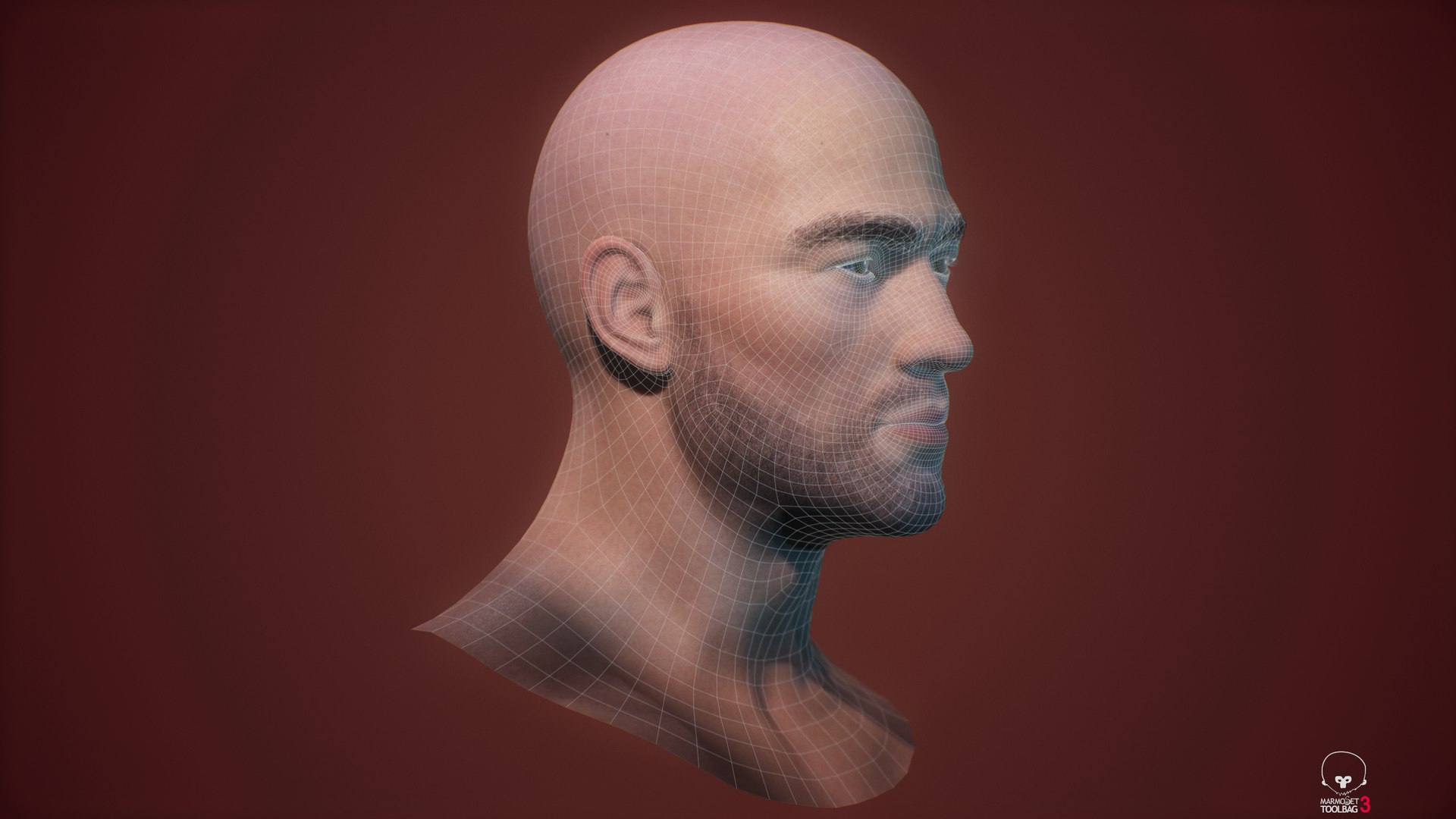 Soldier Head - update 02 3D model https://p.turbosquid.com/ts-thumb/Ve/CrmJZS/Z4/screenshot0012/png/1712946188/1920x1080/fit_q87/2882ddc9d04ef65b32b693fcc5ae7f71321f61eb/screenshot0012.jpg