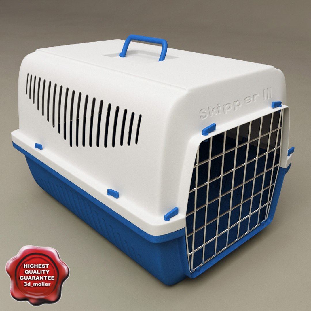 Pet transport box hot sale