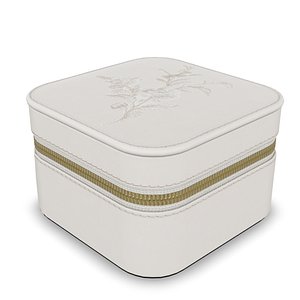 3D Jewelry Case 4