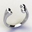 Bone Ring