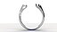 Bone Ring