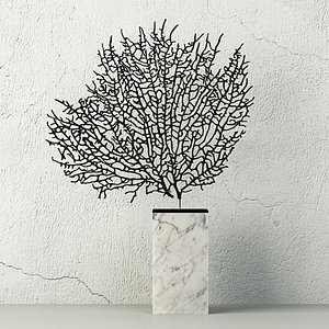 3D natural exotic sea fan model