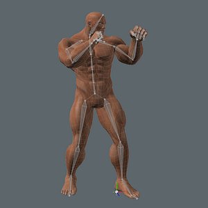 Bodybuilder Fitness homme pose de flexion modèle 3D $149 - .3ds