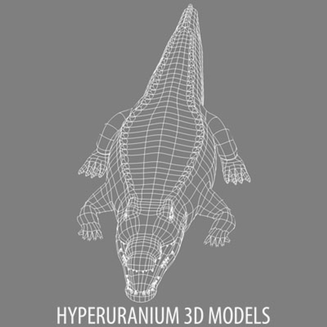 crocodile 3d model https://p.turbosquid.com/ts-thumb/Ve/m2Likg/RA2SMQJt/crocodilewire_c/jpg/1131823576/1920x1080/fit_q87/88bf562b8c2661598fb9e12a370fcb985228d1af/crocodilewire_c.jpg