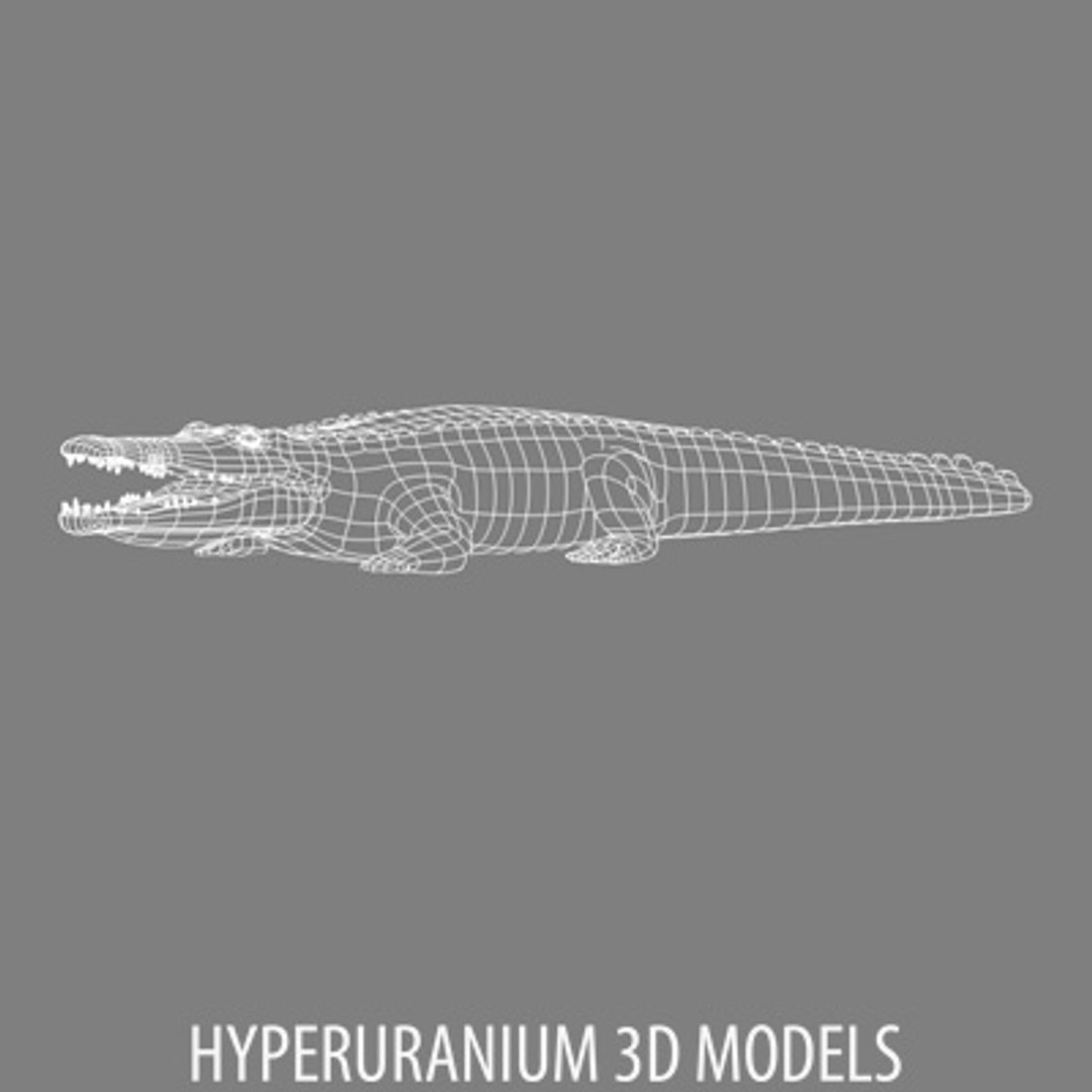 crocodile 3d model https://p.turbosquid.com/ts-thumb/Ve/m2Likg/qOEMZ2hS/crocodilewire_b/jpg/1131823570/1920x1080/fit_q87/17009ad12b95278f2a192b14c0b835043abb7e9f/crocodilewire_b.jpg