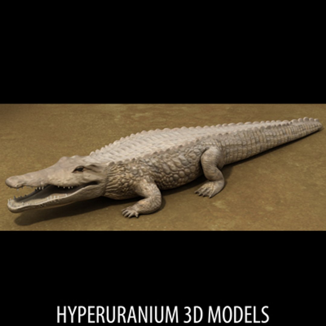 crocodile 3d model https://p.turbosquid.com/ts-thumb/Ve/m2Likg/xMFCbkgB/crocodile_b/jpg/1131823558/1920x1080/fit_q87/26155cf70604a2619c3528b8badd0f7d65e03ed5/crocodile_b.jpg