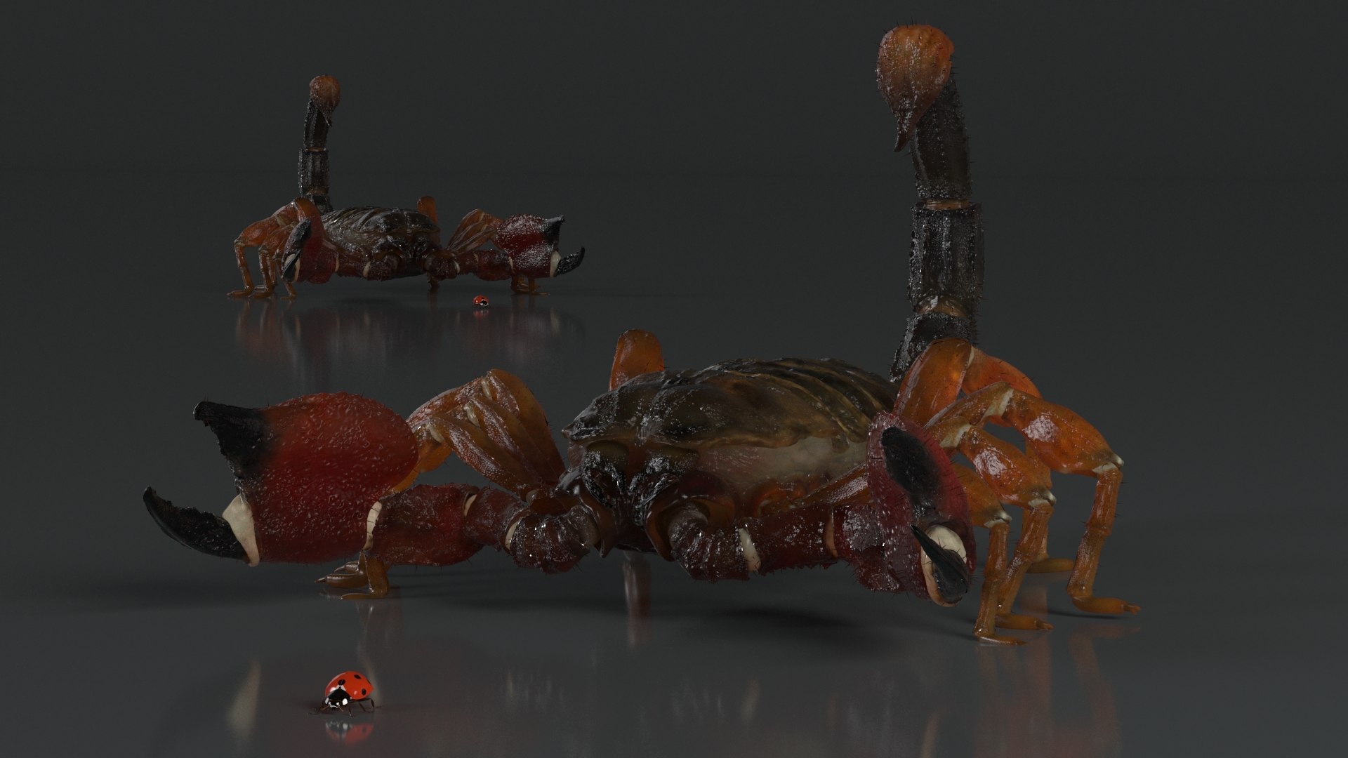 Hunting Scorpion Fur Animated Rigged for Cinema 4D 3D model https://p.turbosquid.com/ts-thumb/Ve/oTIS08/aD/hunting_scorpion_fur_animated_rigged_005/jpg/1766609514/1920x1080/fit_q87/a2065a46ee944471dc5027bb74081e8396221c57/hunting_scorpion_fur_animated_rigged_005.jpg