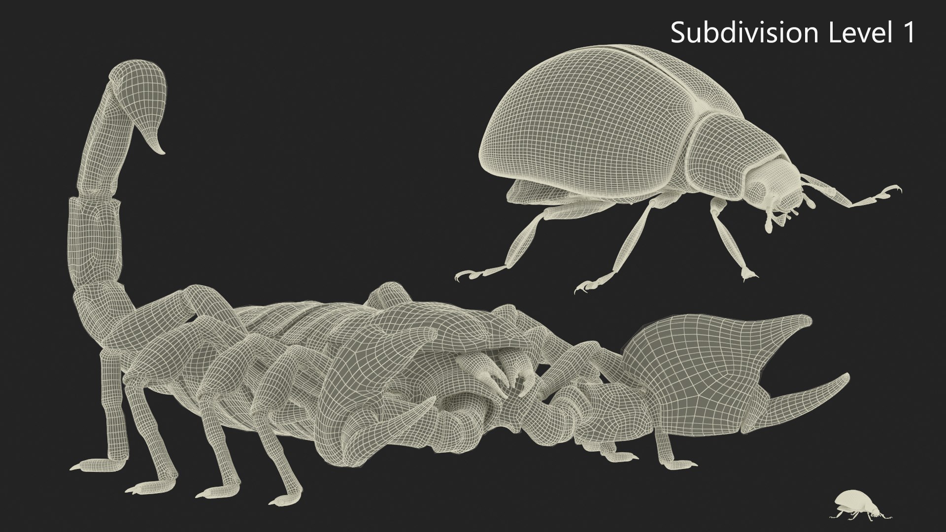 Hunting Scorpion Fur Animated Rigged for Cinema 4D 3D model https://p.turbosquid.com/ts-thumb/Ve/oTIS08/kF/hunting_scorpion_fur_animated_rigged_019/jpg/1766609556/1920x1080/fit_q87/f230dfe4ab6fcec61801d55a5488fe7245c3e1f3/hunting_scorpion_fur_animated_rigged_019.jpg