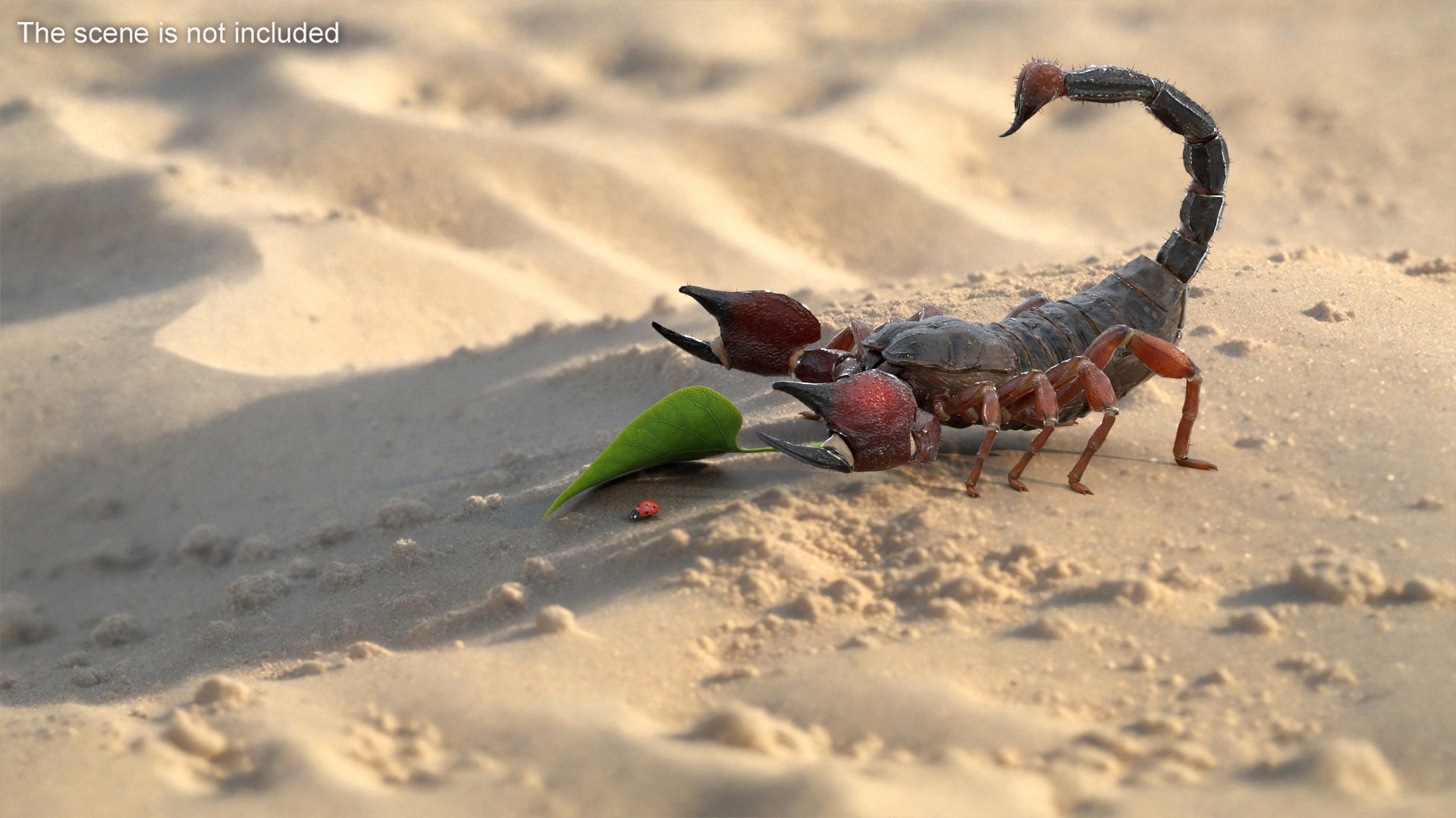 Hunting Scorpion Fur Animated Rigged for Cinema 4D 3D model https://p.turbosquid.com/ts-thumb/Ve/oTIS08/r5/hunting_scorpion_fur_animated_rigged_003/jpg/1766609508/1920x1080/fit_q87/748eba82428a6ee2f323c4ae61ad2acf053254ae/hunting_scorpion_fur_animated_rigged_003.jpg