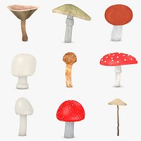 poisonous mushrooms