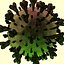 coronavirus covid-19 3D model