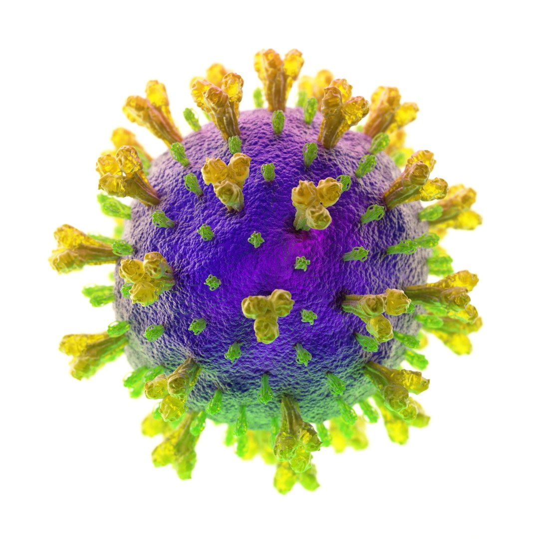 coronavirus covid-19 3D model https://p.turbosquid.com/ts-thumb/Ve/uEWQAF/sQZGgVA8/6/jpg/1583663414/1920x1080/fit_q87/6b0c29c93a25e4d5d0dc3bedbe71f31341c0caa7/6.jpg