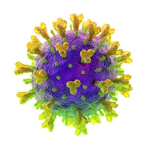 coronavirus covid-19 3D model