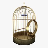 Golden Birdcage