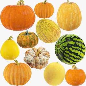 Pumpkins Melons and Watermelon Collection V1