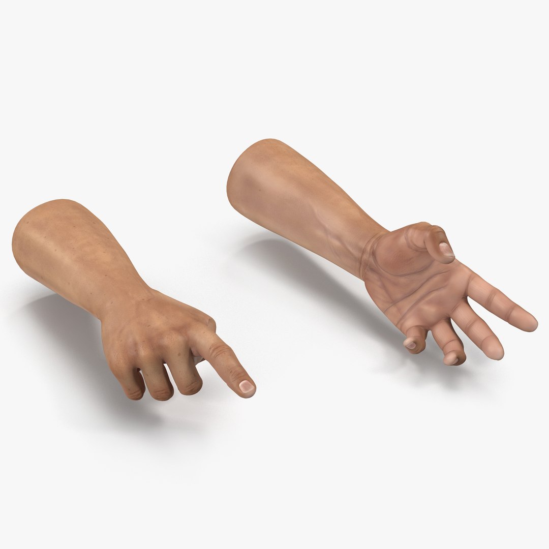 Man Hands Rigged 3D model preview