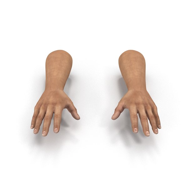 3d man hands rigged model