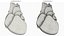 Dissectible Human Heart Anatomy Model