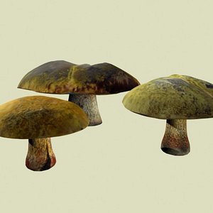 Mushrooms 3ds