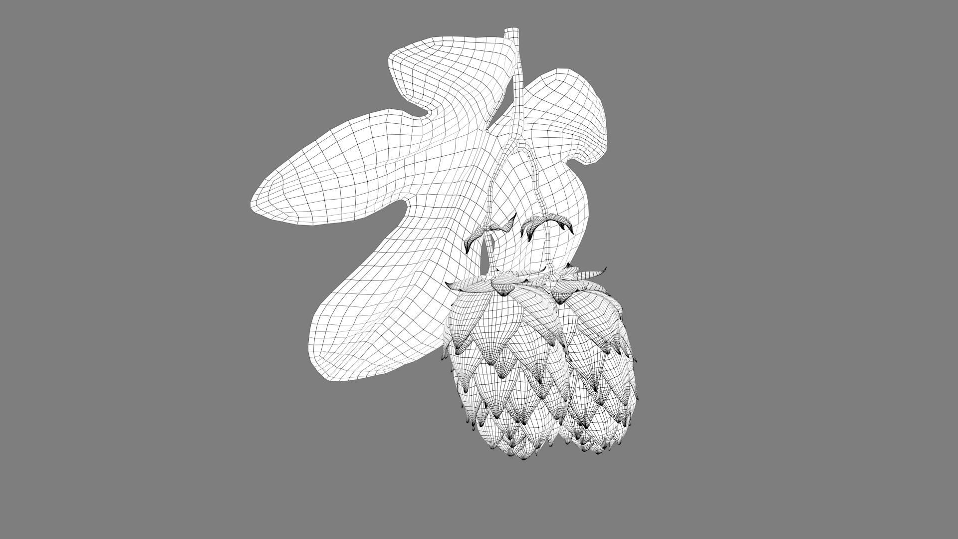 3D model hops real bract https://p.turbosquid.com/ts-thumb/Vf/b2g8rL/5pZxqWFB/wireb/jpg/1585164194/1920x1080/turn_fit_q99/1ad8de201116044e2089fe325e3076f6fd212055/wireb-1.jpg