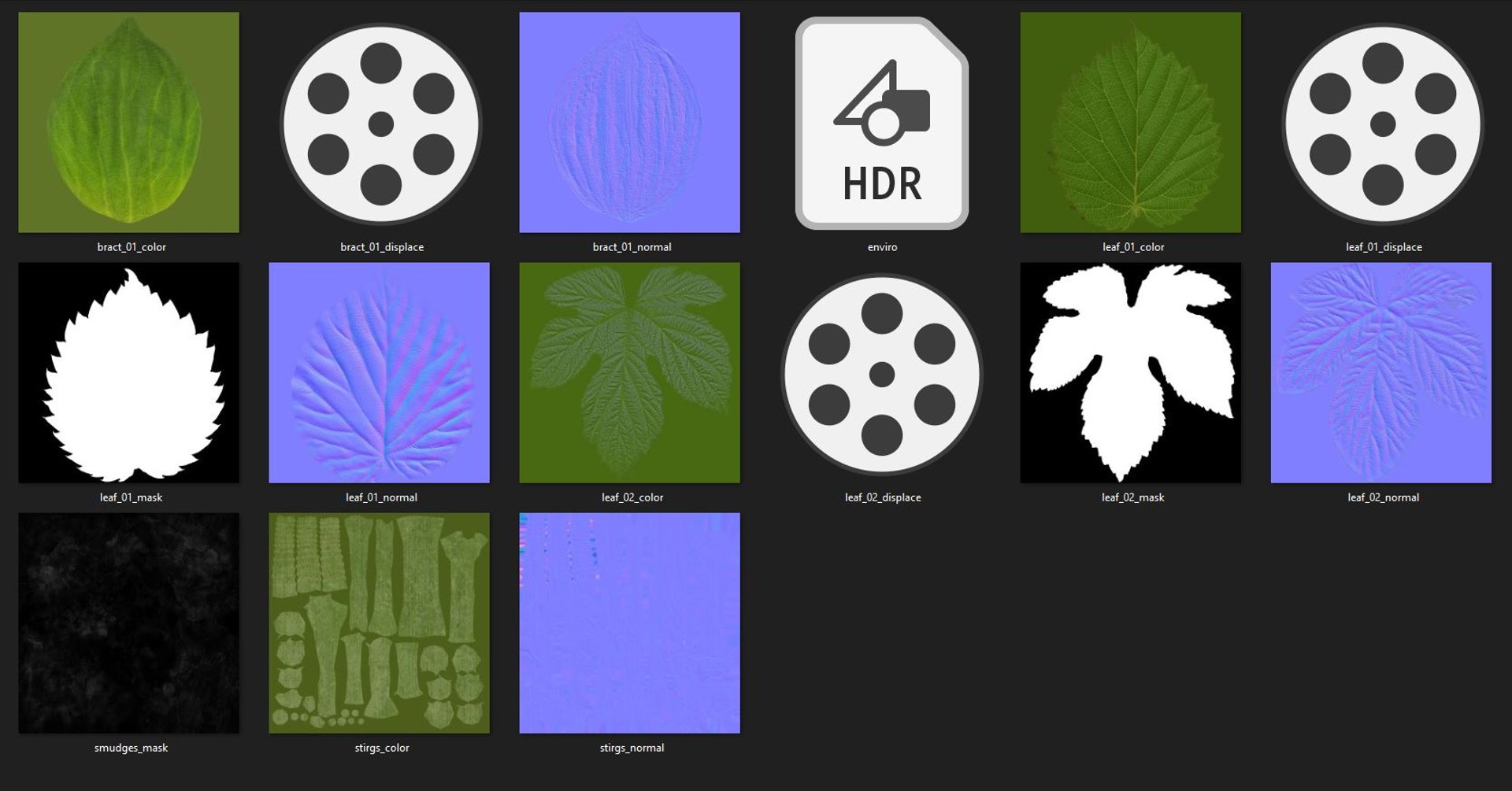3D model hops real bract https://p.turbosquid.com/ts-thumb/Vf/b2g8rL/8wjGWyWu/textures/jpg/1585167828/1920x1080/fit_q87/2a1170178d8c915fb8eb7ab8dda40e2b00a08ba5/textures.jpg