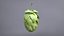 Houblon