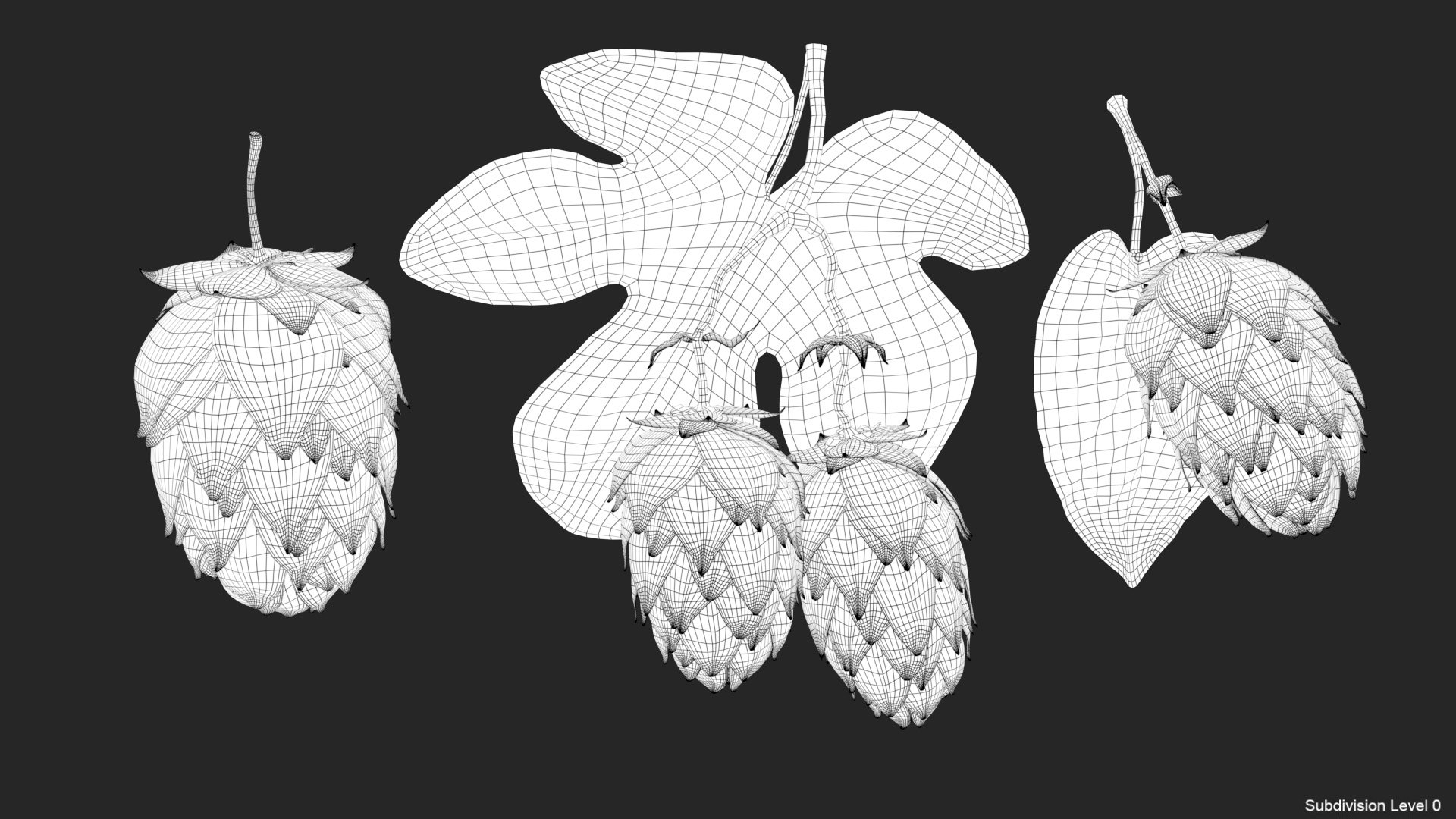 3D model hops real bract https://p.turbosquid.com/ts-thumb/Vf/b2g8rL/DYqLcdzJ/wire00/jpg/1585167792/1920x1080/fit_q87/cc17e37d8b007c357b791fbf183739c6830d30fd/wire00.jpg