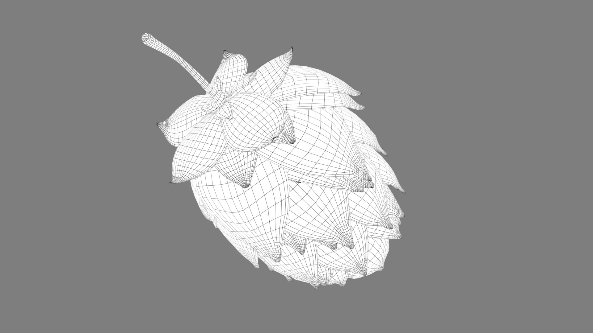 3D model hops real bract https://p.turbosquid.com/ts-thumb/Vf/b2g8rL/OYPmIAOC/hops_01_wire.0033/jpg/1585164292/1920x1080/fit_q87/5012ff9c445f261cbe5250e346fe96f61803bf2d/hops_01_wire.0033.jpg