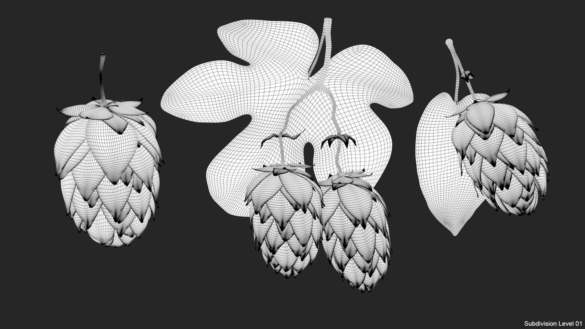 3D model hops real bract https://p.turbosquid.com/ts-thumb/Vf/b2g8rL/QZEPnw56/wire01/jpg/1585167792/1920x1080/fit_q87/72e25b48f4cebf5006d81b488b6156cdfa419160/wire01.jpg