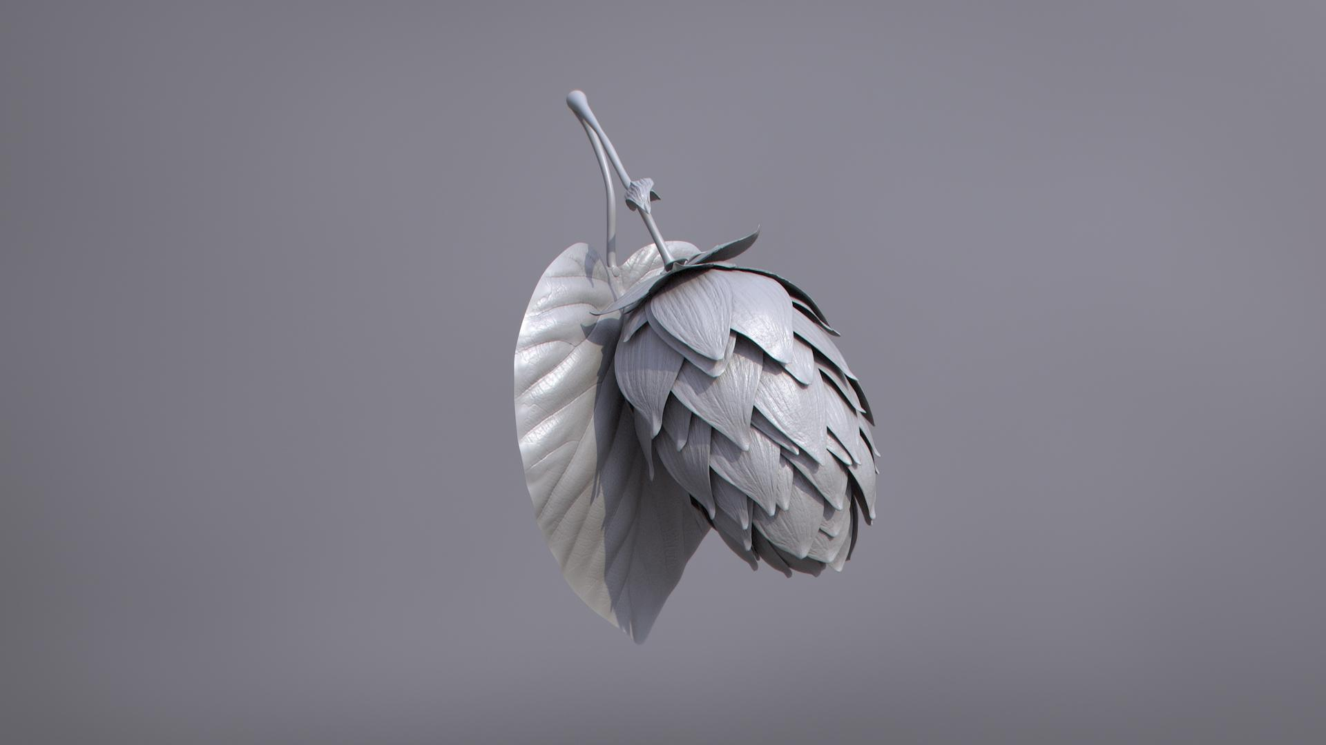 3D model hops real bract https://p.turbosquid.com/ts-thumb/Vf/b2g8rL/fScix9IN/shadec/jpg/1585164172/1920x1080/turn_fit_q99/4557bcc899e6f304aea74fb60170a064b86a2ab1/shadec-1.jpg