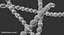 Streptococcus Pyogenes Bacteria