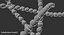 Streptococcus Pyogenes Bacteria