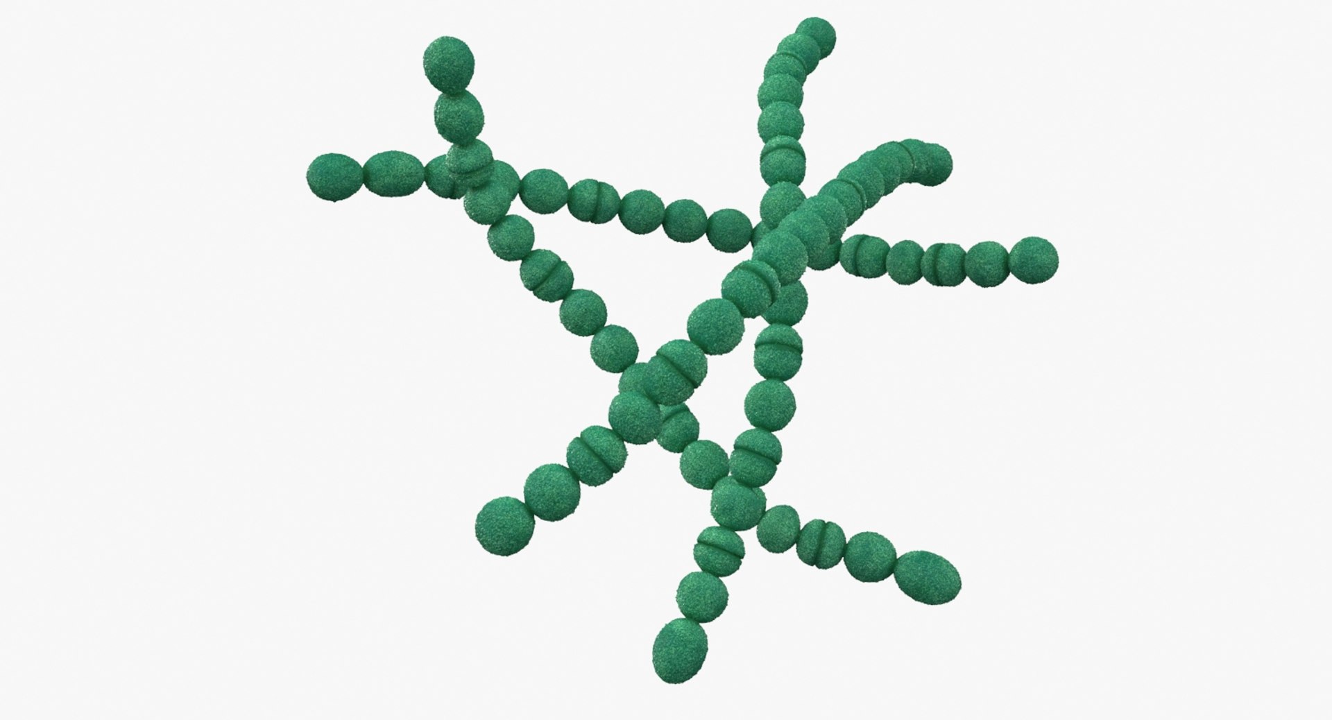 3D streptococcus pyogenes bacteria https://p.turbosquid.com/ts-thumb/Vf/gGGH1L/jN0utcWy/streptococcus_pyogenes_bacteria_sign_b/jpg/1530849013/1920x1080/fit_q87/4d362229a786cce72f6d3d71c3f1060fd7329b18/streptococcus_pyogenes_bacteria_sign_b.jpg