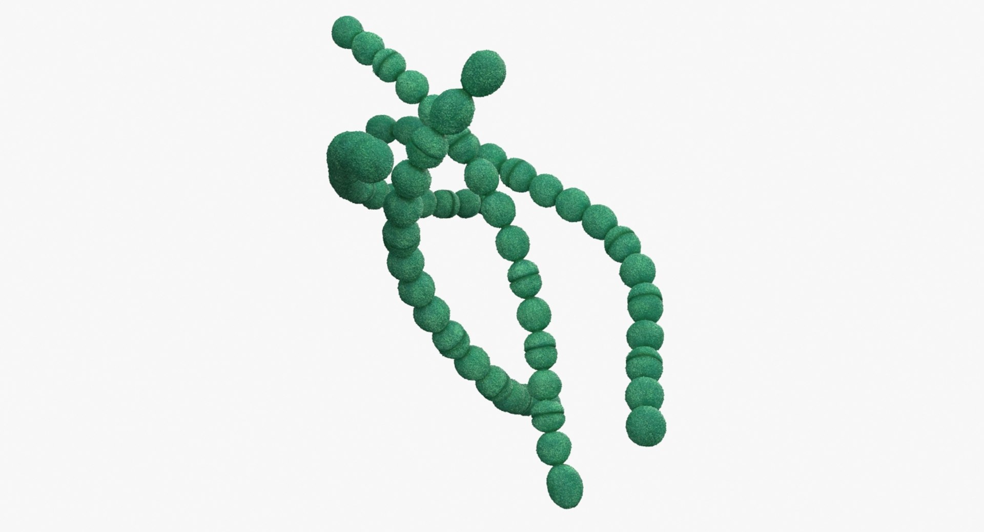 3D streptococcus pyogenes bacteria https://p.turbosquid.com/ts-thumb/Vf/gGGH1L/rvNSVZ70/streptococcus_pyogenes_bacteria_productshoot_a/jpg/1530849153/1920x1080/fit_q87/e95c4535190947b93b16c66270ea8432a776ac71/streptococcus_pyogenes_bacteria_productshoot_a.jpg
