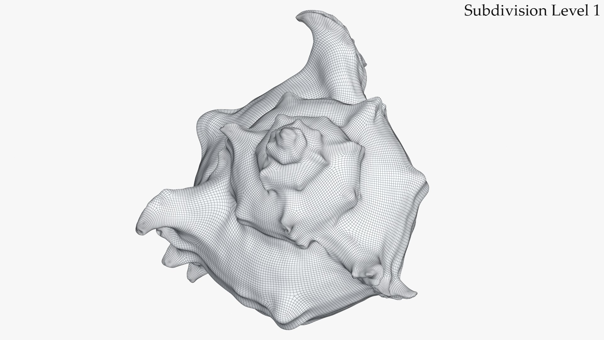 snail shell 3D https://p.turbosquid.com/ts-thumb/Vf/kiC4Jg/VEtbbh2U/3_seashell25_c03_sds1_wire/jpg/1604176923/1920x1080/fit_q87/8d6b266aac0180573b3cf8ed9074ad7757f669cb/3_seashell25_c03_sds1_wire.jpg