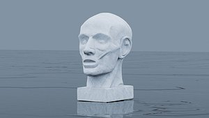 Plaster Head Bust 3D model