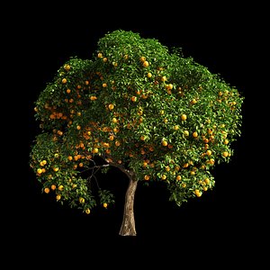 3D fruit tree orange