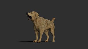 Dog rigged and animated