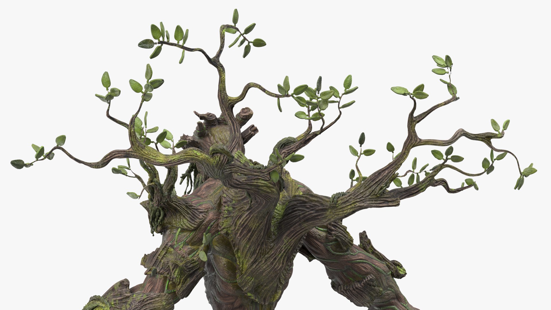 3D Dendroid Rigged for Cinema 4D https://p.turbosquid.com/ts-thumb/Vg/6EHd0e/qQ/dendroidriggedforcinema4d3dsmodel023/jpg/1728241553/1920x1080/fit_q87/5003cda4c3d7ccf7bc4b09e859611fdf3ce3f8b2/dendroidriggedforcinema4d3dsmodel023.jpg