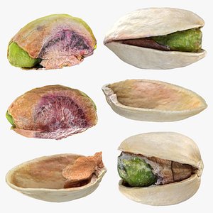 3D model Pistachio Collection