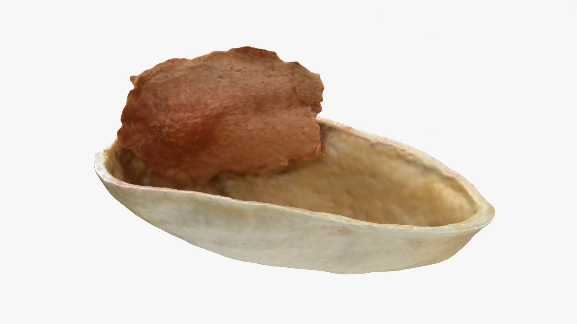 3D model Pistachio Collection https://p.turbosquid.com/ts-thumb/Vg/GxQwjr/Qk/pistachioshell1_0001/png/1755440357/1920x1080/fit_q87/bb9af1c32991c031d11ee87387325e397d26e5d6/pistachioshell1_0001.jpg