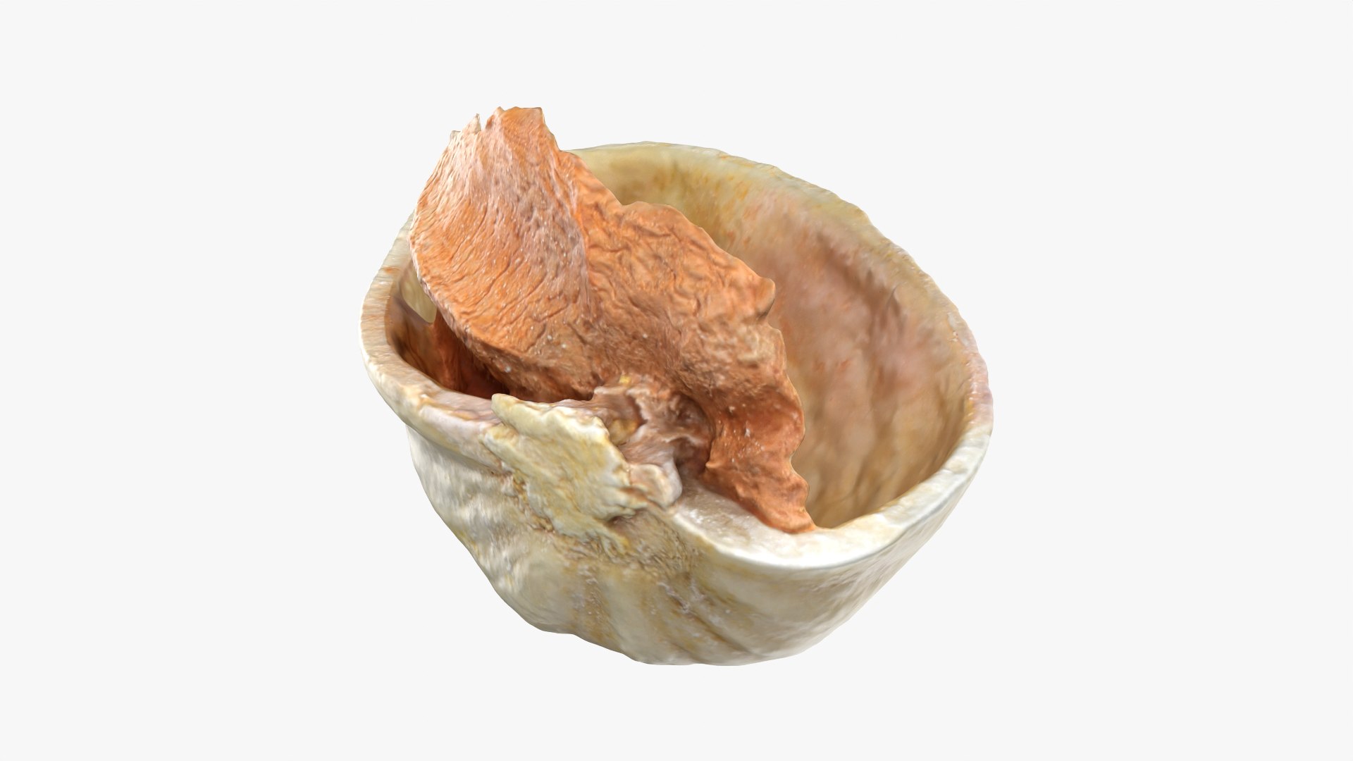 3D model Pistachio Collection https://p.turbosquid.com/ts-thumb/Vg/GxQwjr/uT/pistachioshell1_0010/png/1755440357/1920x1080/fit_q87/97b381b2d3179c50657fe332c0d32b3107672ad6/pistachioshell1_0010.jpg
