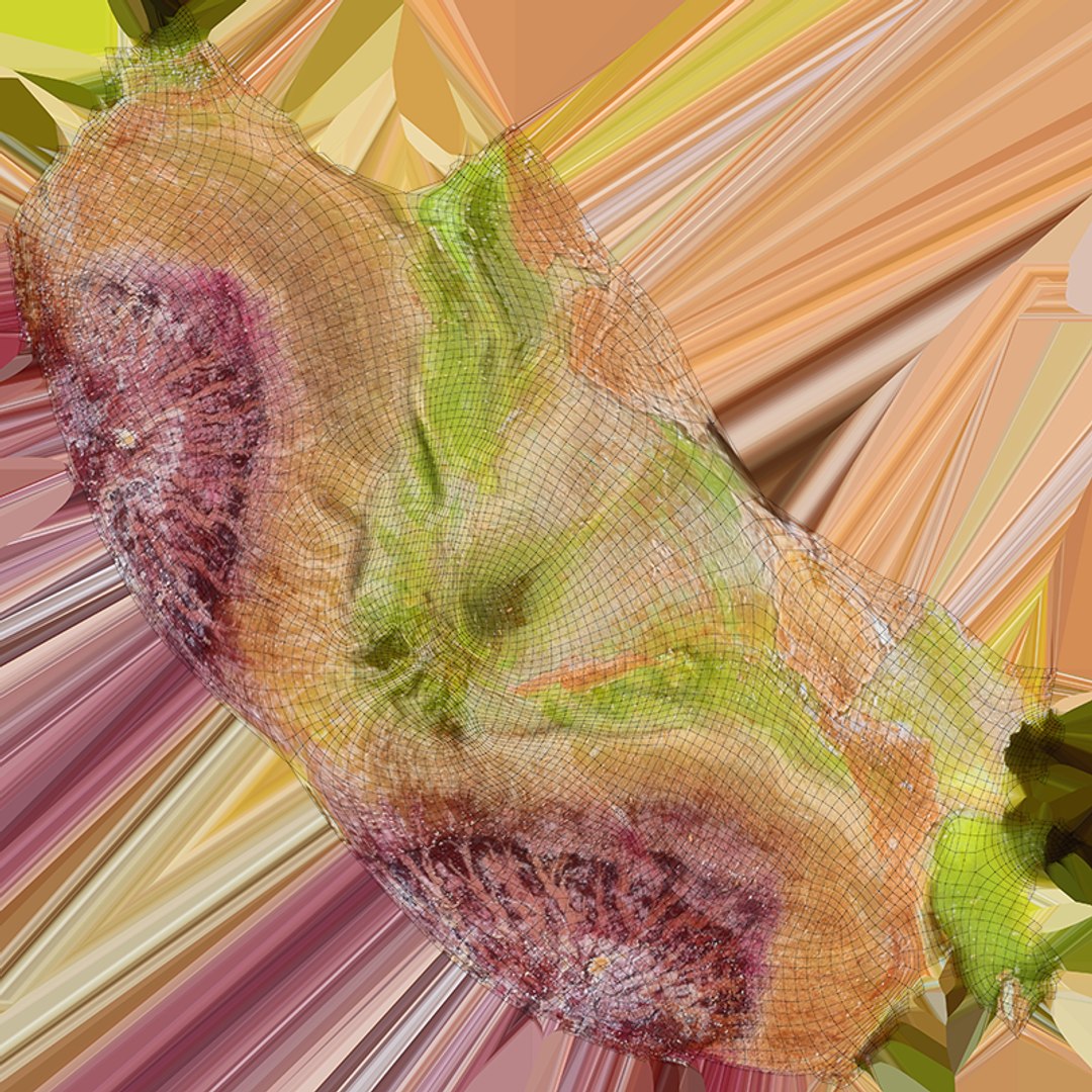 3D model Pistachio Collection https://p.turbosquid.com/ts-thumb/Vg/GxQwjr/xJ/pistachiopeeled_c0004/png/1755440299/1920x1080/fit_q87/85974fbf1fb66ba814fc3058ae02de0907f79c1e/pistachiopeeled_c0004.jpg