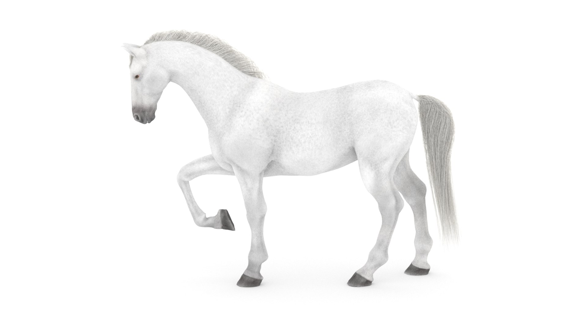 white horse rigged 3D model https://p.turbosquid.com/ts-thumb/Vg/H9sRZv/04qIuQRK/horse3dmodelfur04/jpg/1559813029/1920x1080/fit_q87/2b12fa49195ca572e14e8918781b509257c092b6/horse3dmodelfur04.jpg