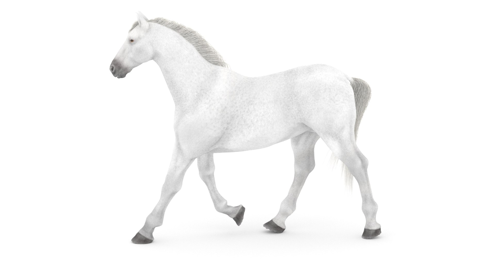 white horse rigged 3D model https://p.turbosquid.com/ts-thumb/Vg/H9sRZv/1C8gXnRz/horse3dmodelfur04_/jpg/1559813029/1920x1080/fit_q87/ce5cbded1040dede03de256297d49bb0e7f7cae2/horse3dmodelfur04_.jpg