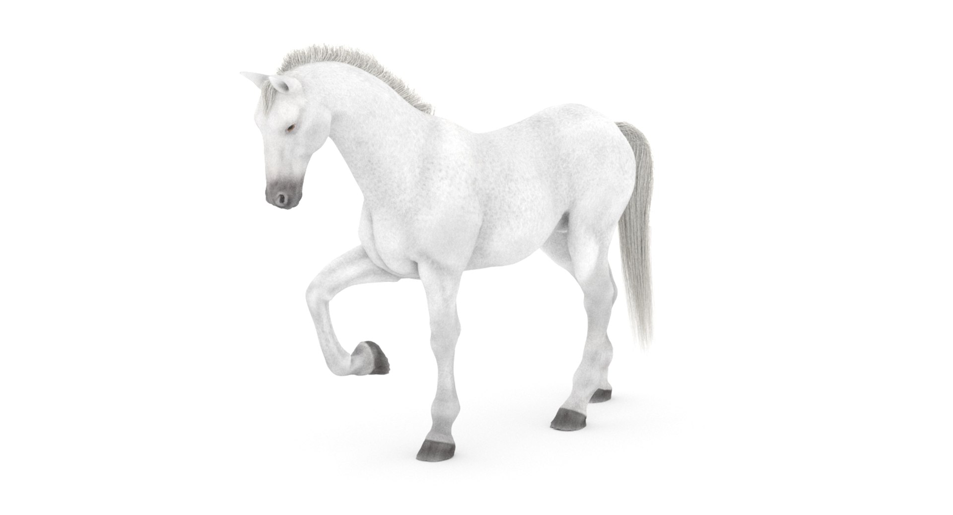 white horse rigged 3D model https://p.turbosquid.com/ts-thumb/Vg/H9sRZv/2KvUNXLV/horse3dmodelfur03/jpg/1559813029/1920x1080/fit_q87/6a9809d2887d657da3813757a17684f15be72db9/horse3dmodelfur03.jpg