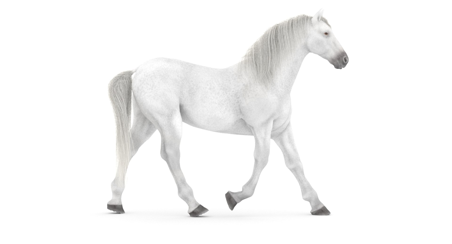 white horse rigged 3D model https://p.turbosquid.com/ts-thumb/Vg/H9sRZv/2p1kwzFe/horse3dmodelfur06_/jpg/1559813029/1920x1080/fit_q87/18ec1305e0c61bdda71ce9b540f5497d283f58f3/horse3dmodelfur06_.jpg